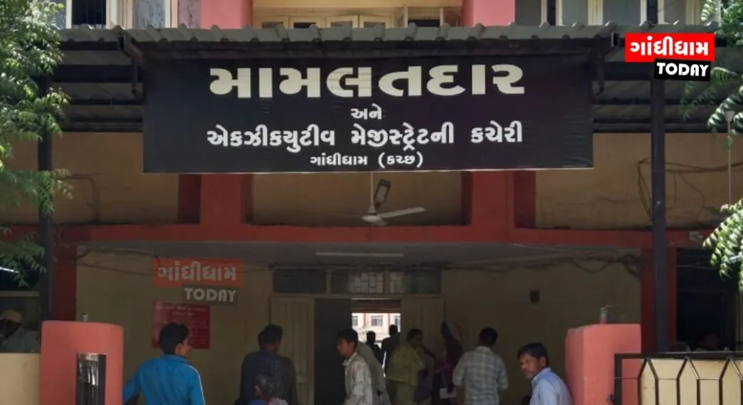 ગાંધીધામ મામલતદાર કચેરીમાં કમ્પ્યુટર ઓપરેટરોની બદલીની માંગ, બેદરકારી અને ભ્રષ્ટાચારના આક્ષેપો