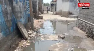 મીઠી રોડ ગામમાં ગટરના પાણીનો ભરડો: સરપંચ સામે રોષ