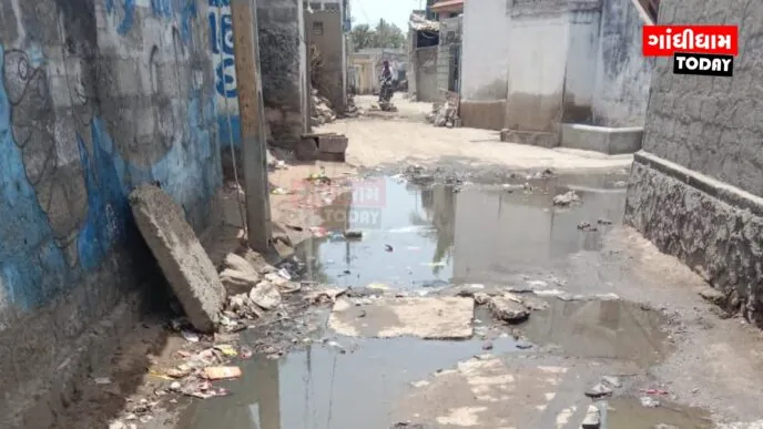 મીઠી રોડ ગામમાં ગટરના પાણીનો ભરડો: સરપંચ સામે રોષ