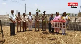 વિશ્વ પર્યાવરણ દિવસ નિમિત્તે ગાંધીધામ સીટી ટ્રાફિક પોલીસની પ્રશંસનીય પહેલ: 20 વૃક્ષોનું વાવેતર